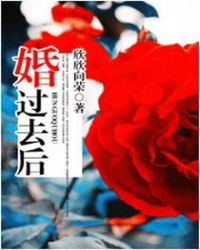婚过去后txt下载